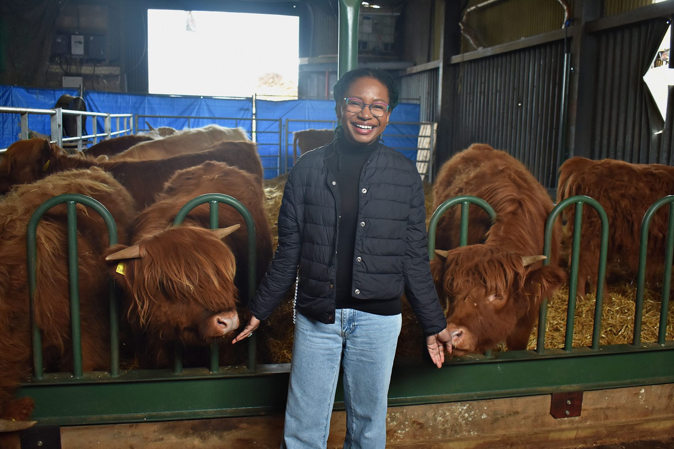 Genell Zuciya standing between two ginger Highland cattle in a barn, one hand resting toward each, smiling.