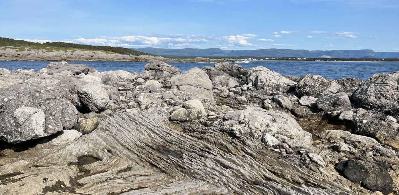 Folded rock &middot; Newfoundland coast